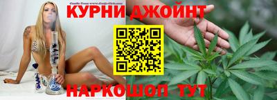 прущие грибы Будённовск