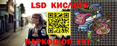 тгк Бийск