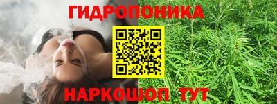 тгк Бийск