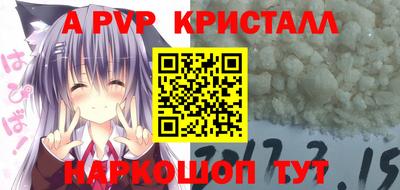 тгк Бийск