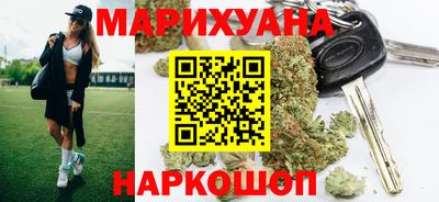 тгк Бийск