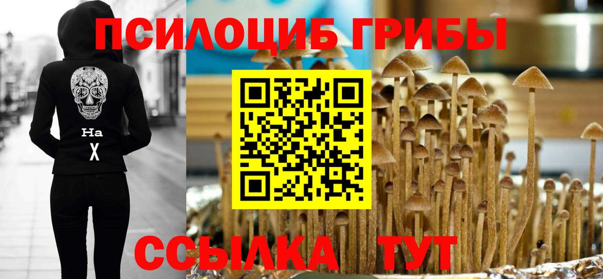 МЕФ  Гашиш  Будённовск  A-PVP СК кристаллы  МЕФ кристаллы  Кодеин  Вход с VPN  ТГК  Кокаин  Канабис  Гашиш 