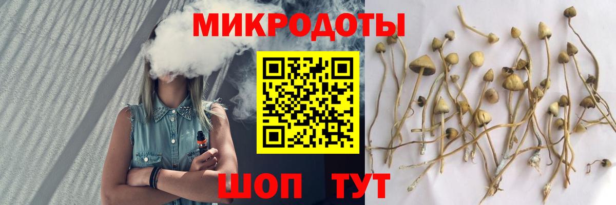 Будённовск  Галлюциногенные грибы Cubensis  Вход с VPN 